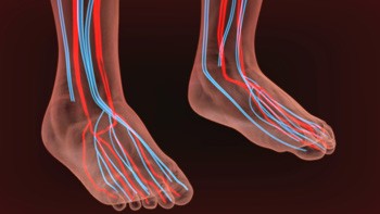 Common Symptoms of Poor Circulation